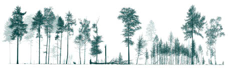 Edited Selection Forestry Diagram drawn by Jan Sevenster of Pro Silva Holland